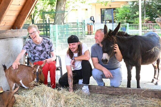 Krankenschwester / Pflegefachfrau – keine Schichten, Berlin-Pankow, Erwachsene mit Assistenzbedarf (m/w/d), 3. Bild